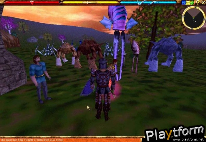 Asheron's Call (PC)