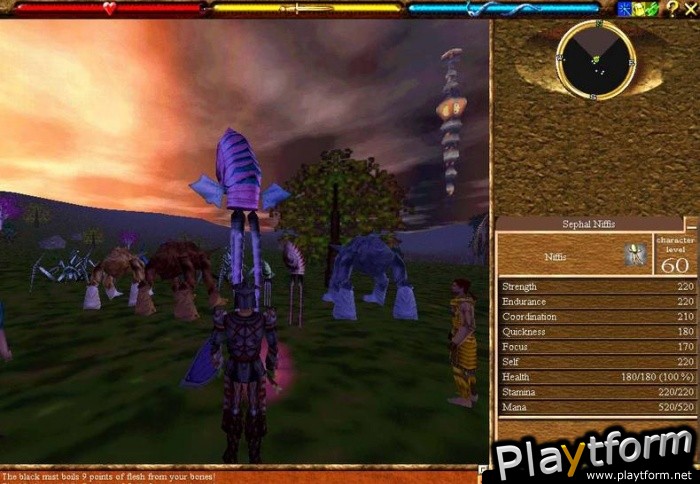 Asheron's Call (PC)