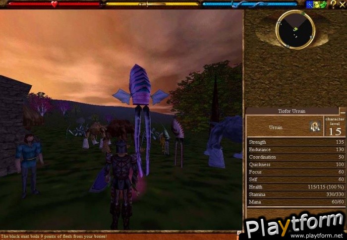 Asheron's Call (PC)