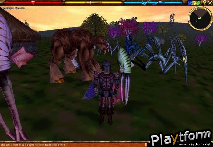 Asheron's Call (PC)