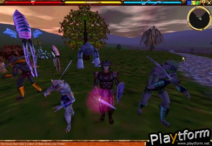 Asheron's Call (PC)