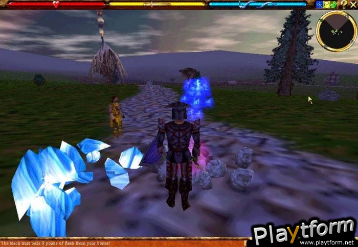 Asheron's Call (PC)