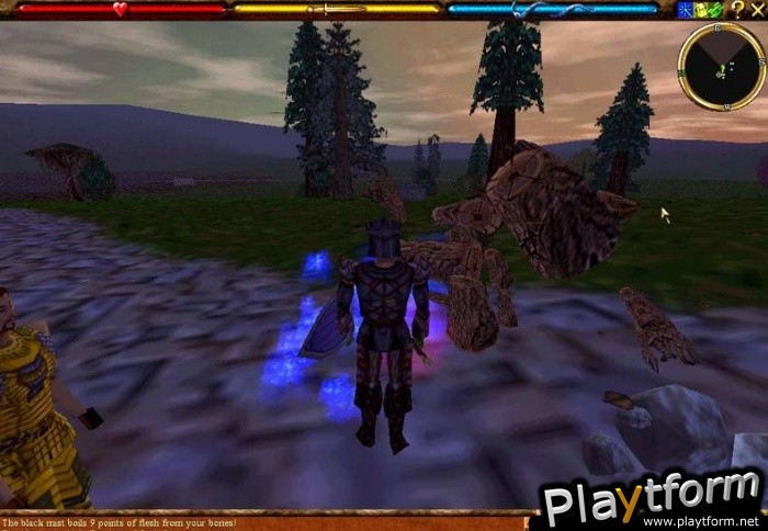 Asheron's Call (PC)