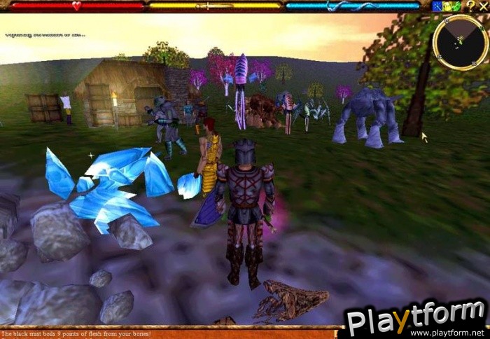 Asheron's Call (PC)