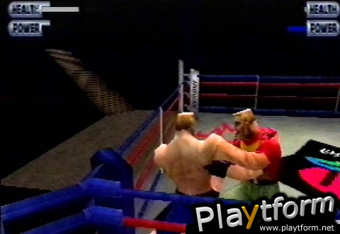 Ready 2 Rumble Boxing (PlayStation)