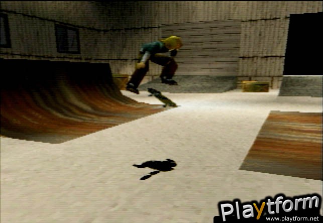 Thrasher Presents: Skate and Destroy (PlayStation)