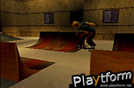 Thrasher Presents: Skate and Destroy (PlayStation)