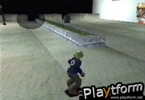 Thrasher Presents: Skate and Destroy (PlayStation)