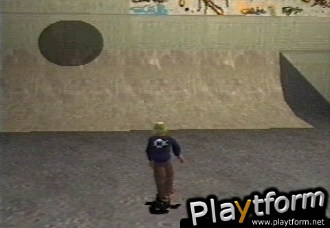 Thrasher Presents: Skate and Destroy (PlayStation)