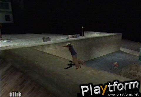 Thrasher Presents: Skate and Destroy (PlayStation)