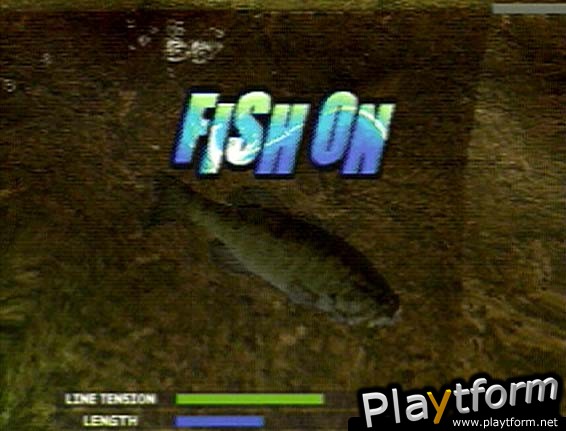 Bass Rise (PlayStation)