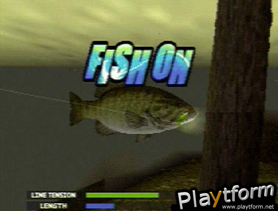 Bass Rise (PlayStation)