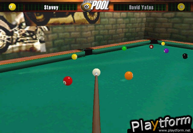 Expert Pool (PC)