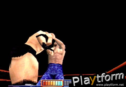 WCW Mayhem (PlayStation)