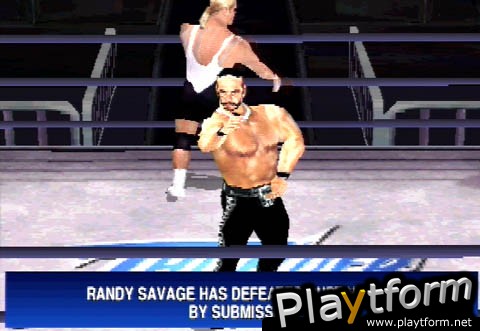 WCW Mayhem (PlayStation)