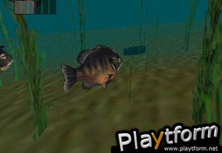 In-Fisherman Bass Hunter 64 (Nintendo 64)