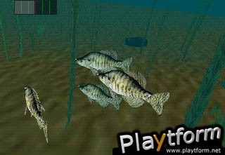 In-Fisherman Bass Hunter 64 (Nintendo 64)