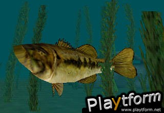 In-Fisherman Bass Hunter 64 (Nintendo 64)