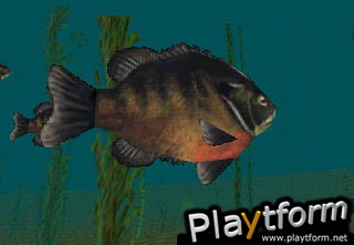 In-Fisherman Bass Hunter 64 (Nintendo 64)