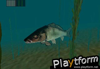 In-Fisherman Bass Hunter 64 (Nintendo 64)