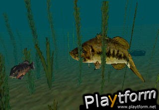 In-Fisherman Bass Hunter 64 (Nintendo 64)