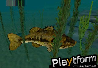 In-Fisherman Bass Hunter 64 (Nintendo 64)