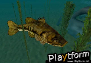 In-Fisherman Bass Hunter 64 (Nintendo 64)