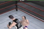 WWF Attitude (Dreamcast)