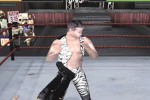 WWF Attitude (Dreamcast)