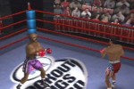 Knockout Kings 2000 (Nintendo 64)