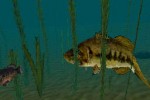 In-Fisherman Bass Hunter 64 (Nintendo 64)