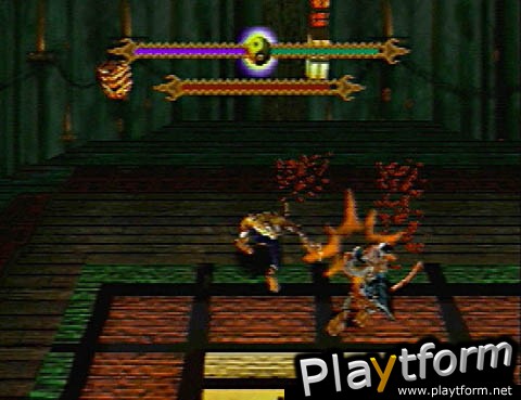 T'ai Fu: Wrath of the Tiger (PlayStation)