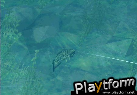 Fisherman's Bait: A Bass Challenge (PlayStation)