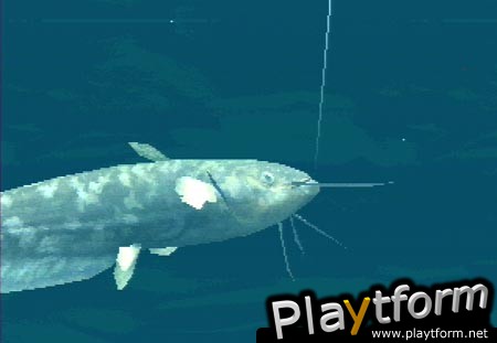 Fisherman's Bait: A Bass Challenge (PlayStation)