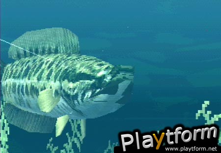 Fisherman's Bait: A Bass Challenge (PlayStation)