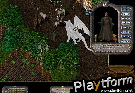 Ultima Online: The Second Age (PC)