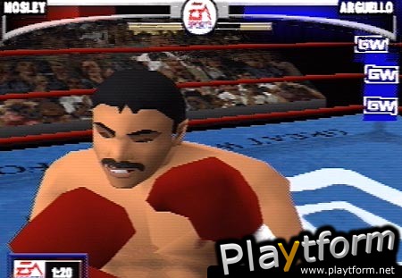 Knockout Kings (PlayStation)