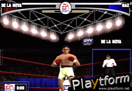 Knockout Kings (PlayStation)