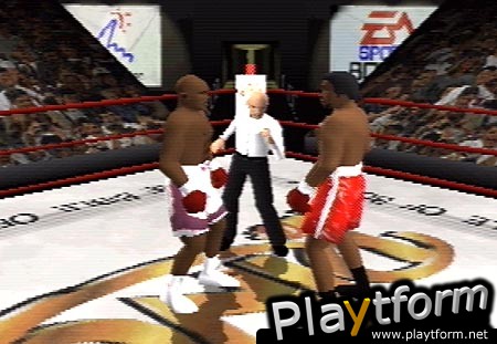 Knockout Kings (PlayStation)