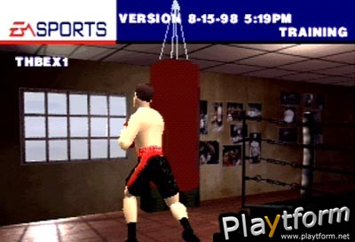 Knockout Kings (PlayStation)