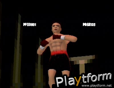 Knockout Kings (PlayStation)