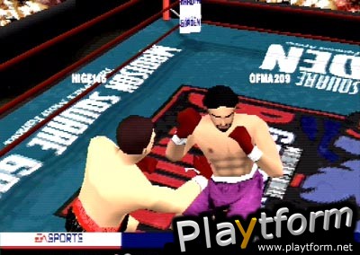 Knockout Kings (PlayStation)