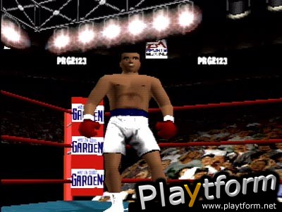 Knockout Kings (PlayStation)