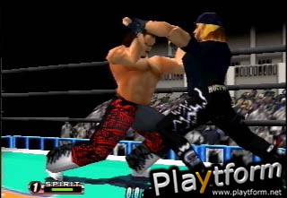 WCW/NWO Revenge (Nintendo 64)