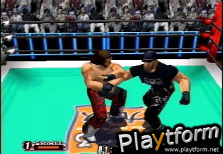 WCW/NWO Revenge (Nintendo 64)