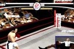 Knockout Kings (PlayStation)