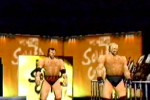 WCW/NWO Revenge (Nintendo 64)