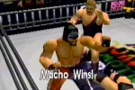 WCW/NWO Revenge (Nintendo 64)