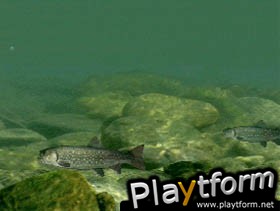 Reel Fishing (PlayStation)