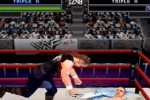 WWF War Zone (PlayStation)